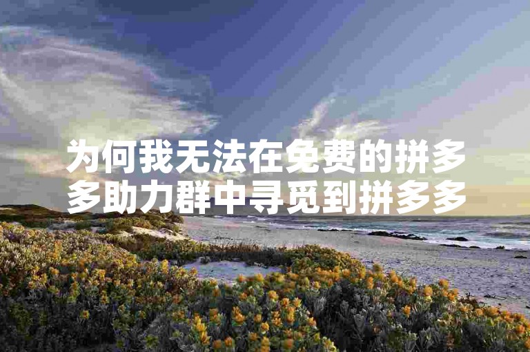 为何我无法在免费的拼多多助力群中寻觅到拼多多助力新人号呢？