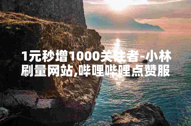 1元秒增1000关注者-小林刷量网站,哔哩哔哩点赞服务站点