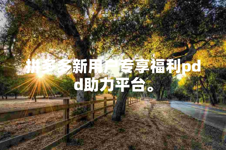 拼多多新用户专享福利pdd助力平台。