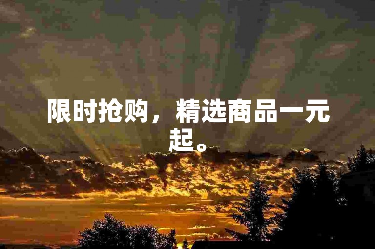 限时抢购，精选商品一元起。