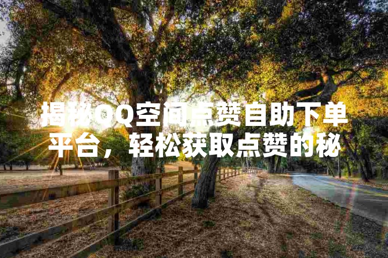 揭秘QQ空间点赞自助下单平台，轻松获取点赞的秘诀！2025年必备技能。