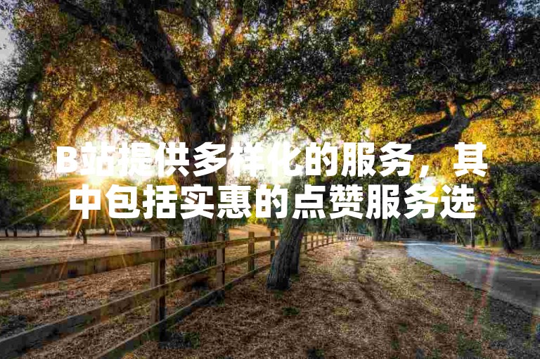 B站提供多样化的服务，其中包括实惠的点赞服务选项。