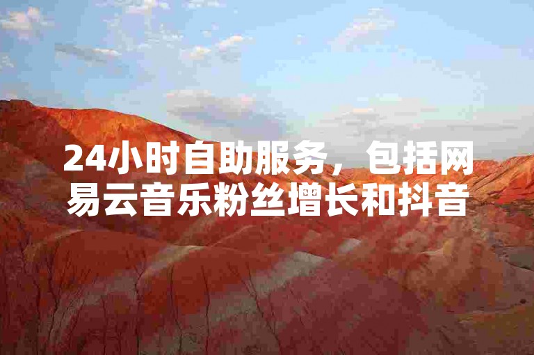 24小时自助服务，包括网易云音乐粉丝增长和抖音点赞，让您的社交媒体影响力迅速提升。
