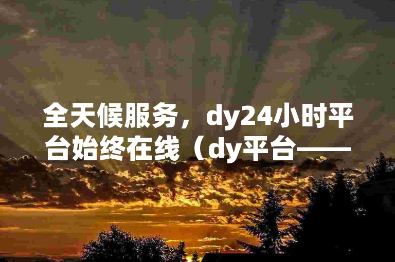 全天候服务，dy24小时平台始终在线（dy平台——24小时不间断的全方位服务）