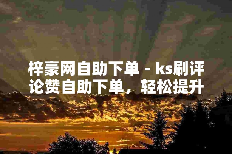 梓豪网自助下单 - ks刷评论赞自助下单，轻松提升作品热度。