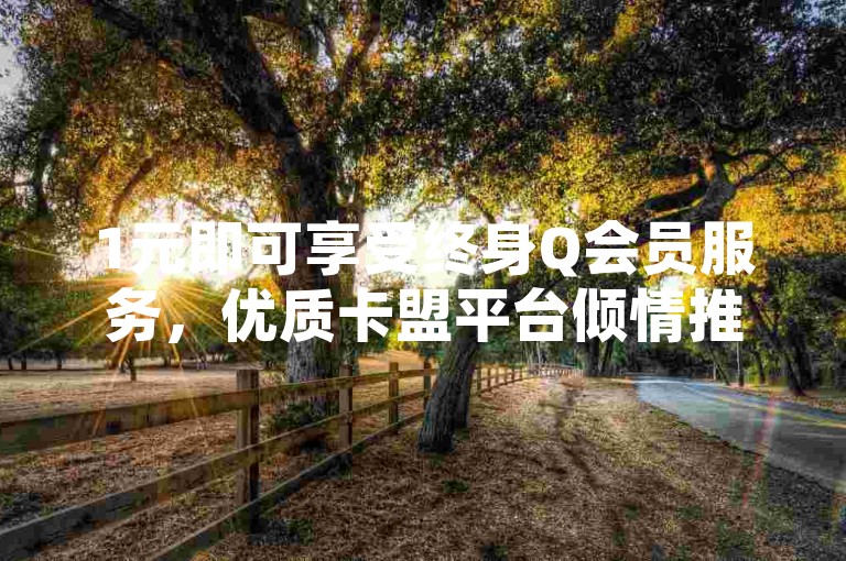 1元即可享受终身Q会员服务，优质卡盟平台倾情推荐。