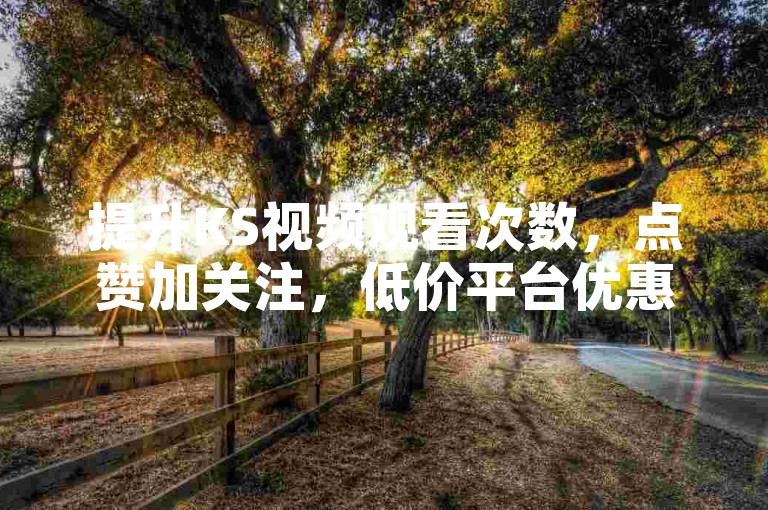 提升KS视频观看次数，点赞加关注，低价平台优惠 - 仅需一元即可获得1000次播放量。