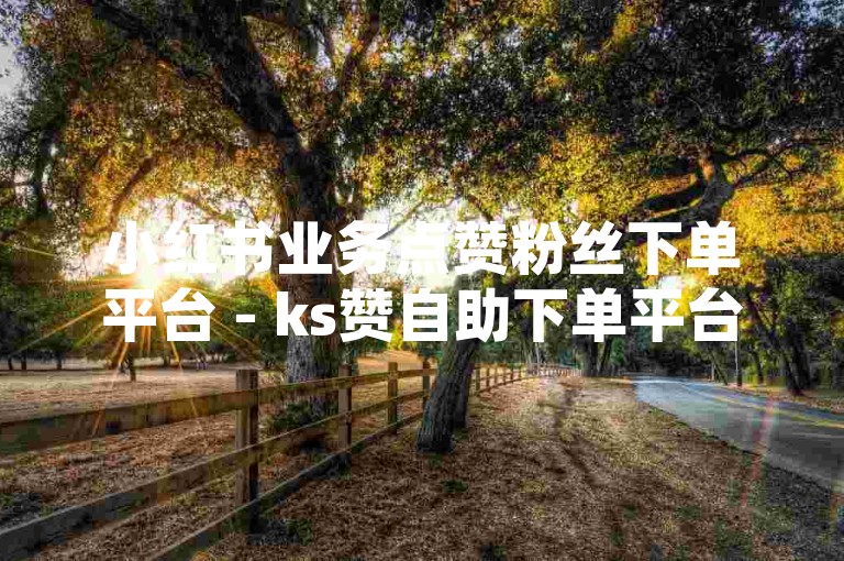 小红书业务点赞粉丝下单平台 - ks赞自助下单平台网站，提供快速便捷的服务。