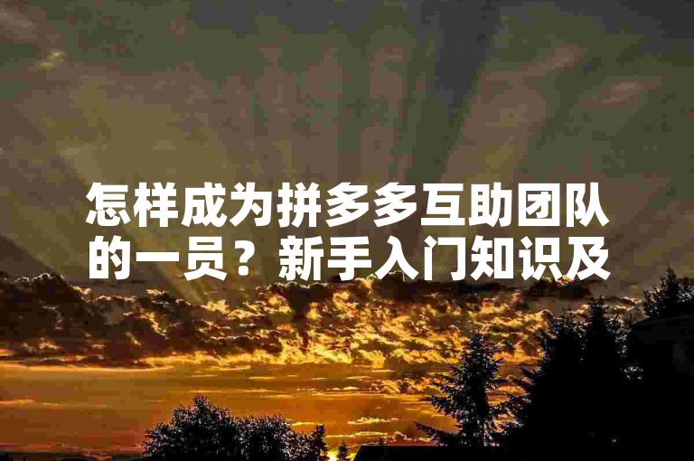 怎样成为拼多多互助团队的一员？新手入门知识及步骤详解。