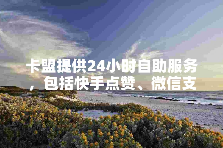 卡盟提供24小时自助服务，包括快手点赞、微信支付、抖音粉丝和快手热赞等业务。