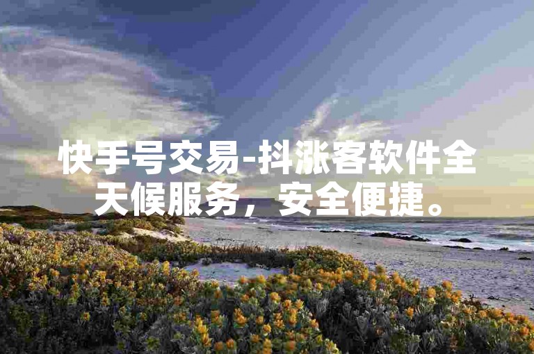 快手号交易-抖涨客软件全天候服务，安全便捷。
