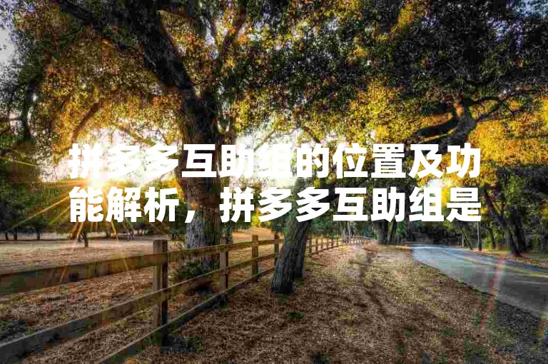拼多多互助组的位置及功能解析，拼多多互助组是拼多多平台上的一个特色功能，它位于拼多多的社交板块中，为用户提供了一个互相帮助、共同参与活动的平台。通过这个互助组，用户可以邀请好友一起参与拼单活动，享受更多的优惠和折扣。同时，互助组还提供了一些额外的福利，如积分兑换、优惠券领取等，让用户在购物过程中能够获得更多的实惠。总之，拼多多互助组不仅为用户提供了便利和实惠，还增强了用户之间的互动和交流。