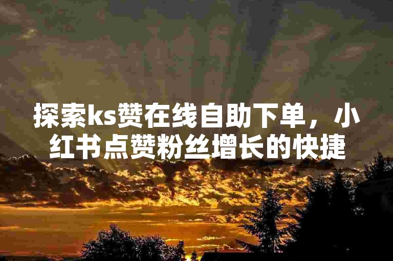 探索ks赞在线自助下单，小红书点赞粉丝增长的快捷途径。