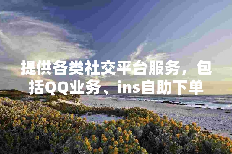 提供各类社交平台服务，包括QQ业务、ins自助下单以及dy小号批发，均通过深信服桌面云系统实现自动发货。