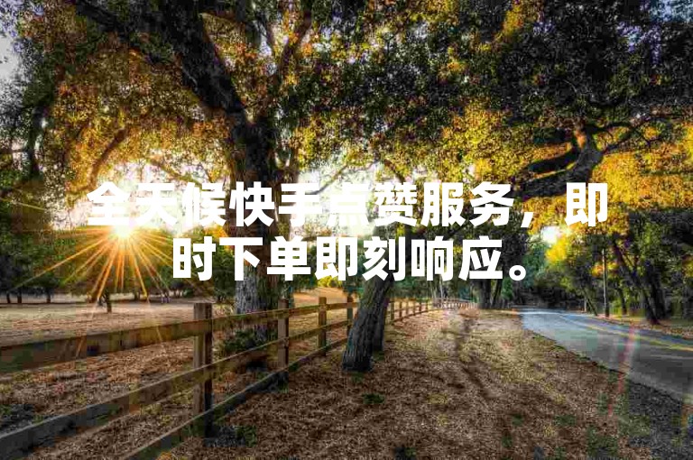 全天候快手点赞服务，即时下单即刻响应。