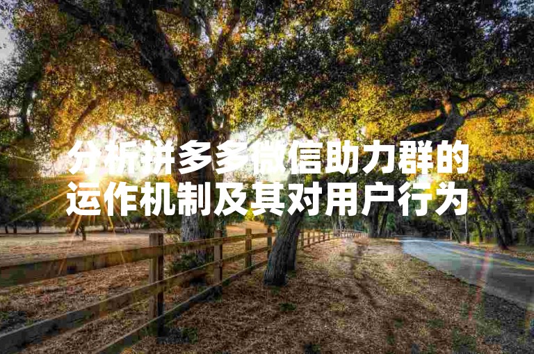 分析拼多多微信助力群的运作机制及其对用户行为的影响。