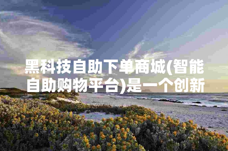 黑科技自助下单商城(智能自助购物平台)是一个创新的在线零售解决方案，它利用先进的技术为用户提供便捷、高效的购物体验。