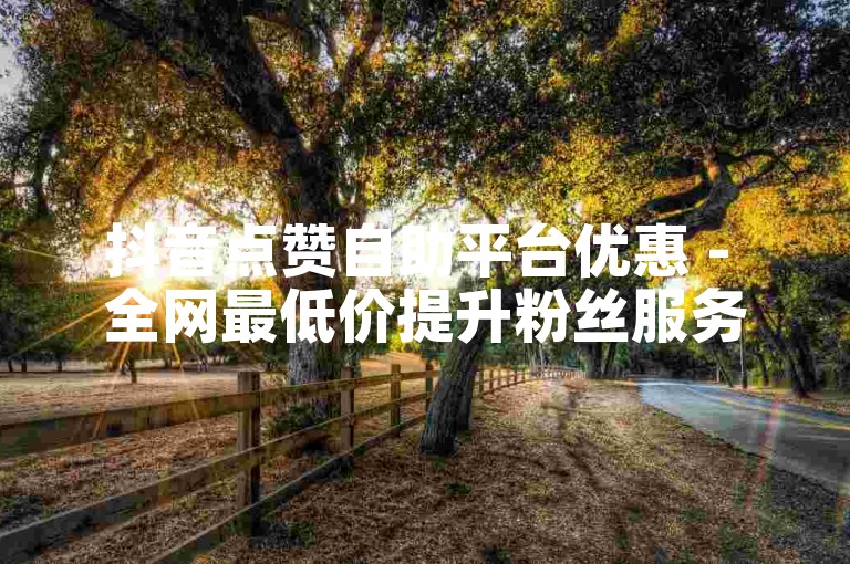 抖音点赞自助平台优惠 - 全网最低价提升粉丝服务