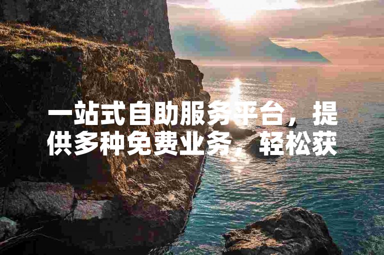 一站式自助服务平台，提供多种免费业务，轻松获取100赞仅需一元。