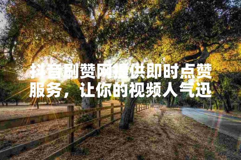 抖音刷赞网提供即时点赞服务，让你的视频人气迅速上升。