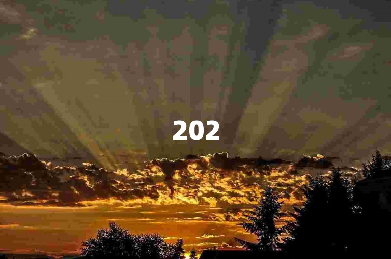 2025年拼多多砍价群拼多多助力互砍