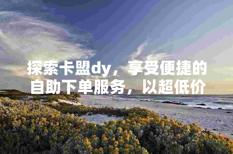 探索卡盟dy，享受便捷的自助下单服务，以超低价格获取dy业务。