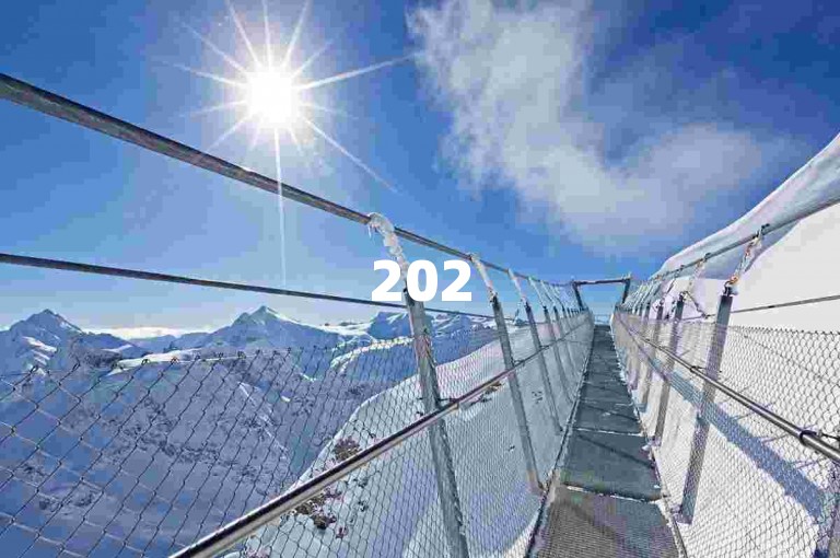 2025年最新微信拼多多互助群，助力拼多多砍价活动。