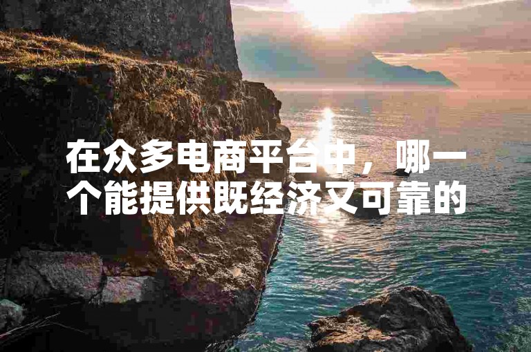 在众多电商平台中，哪一个能提供既经济又可靠的配送服务？