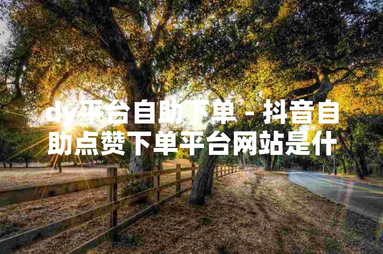 dy平台自助下单 - 抖音自助点赞下单平台网站是什么