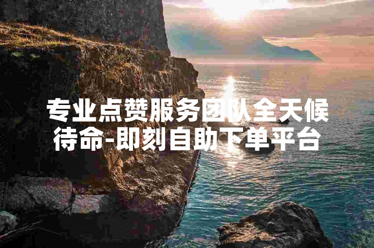 专业点赞服务团队全天候待命-即刻自助下单平台