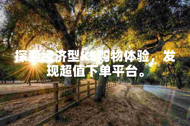 探索经济型KS购物体验，发现超值下单平台。