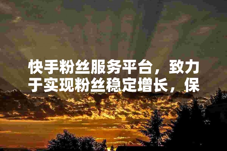 快手粉丝服务平台，致力于实现粉丝稳定增长，保障您的关注者长期留存。