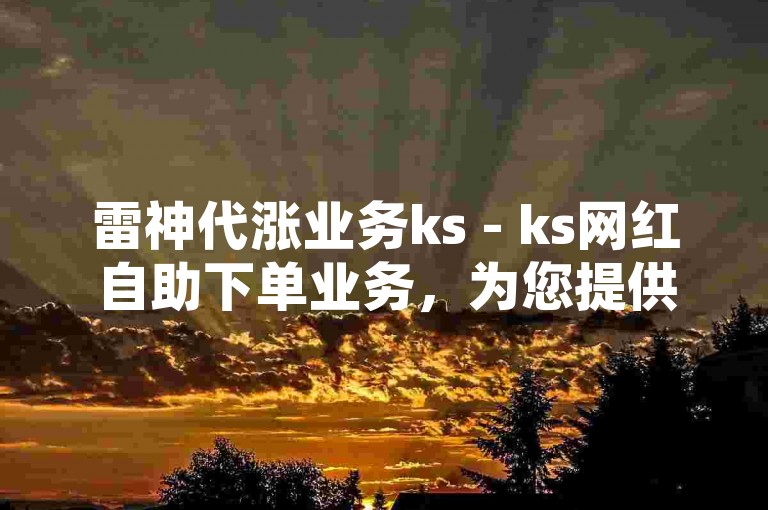 雷神代涨业务ks - ks网红自助下单业务，为您提供快速便捷的粉丝增长服务。