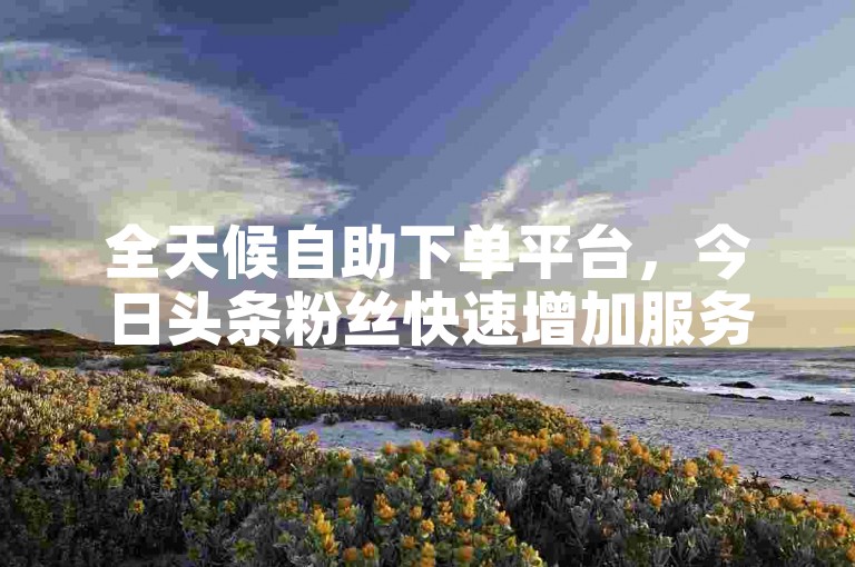 全天候自助下单平台，今日头条粉丝快速增加服务。
