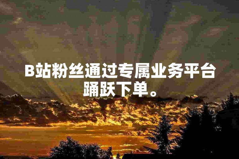 B站粉丝通过专属业务平台踊跃下单。
