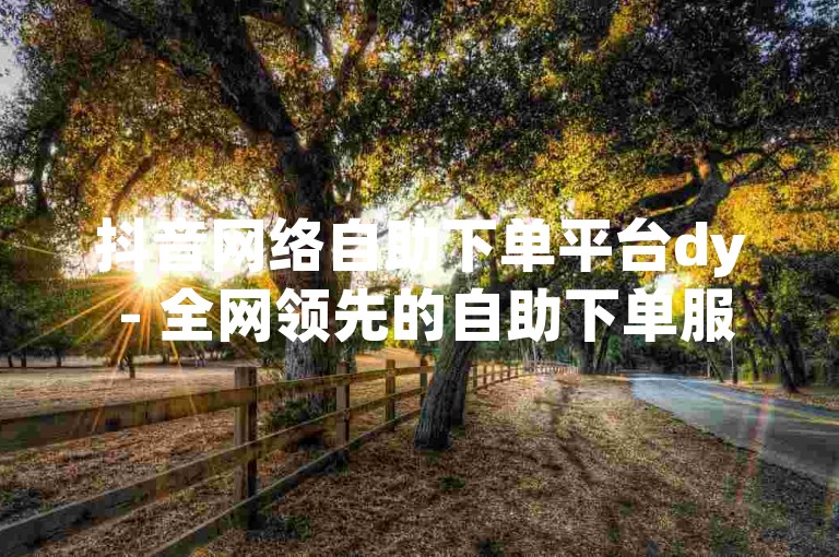 抖音网络自助下单平台dy - 全网领先的自助下单服务系统。