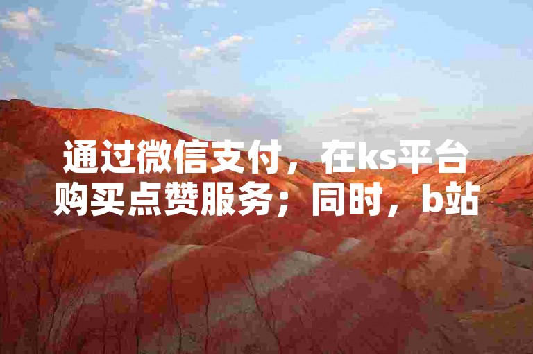 通过微信支付，在ks平台购买点赞服务；同时，b站账号也可在自动发卡网上进行交易。