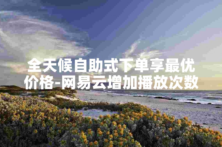 全天候自助式下单享最优价格-网易云增加播放次数,快手点赞服务