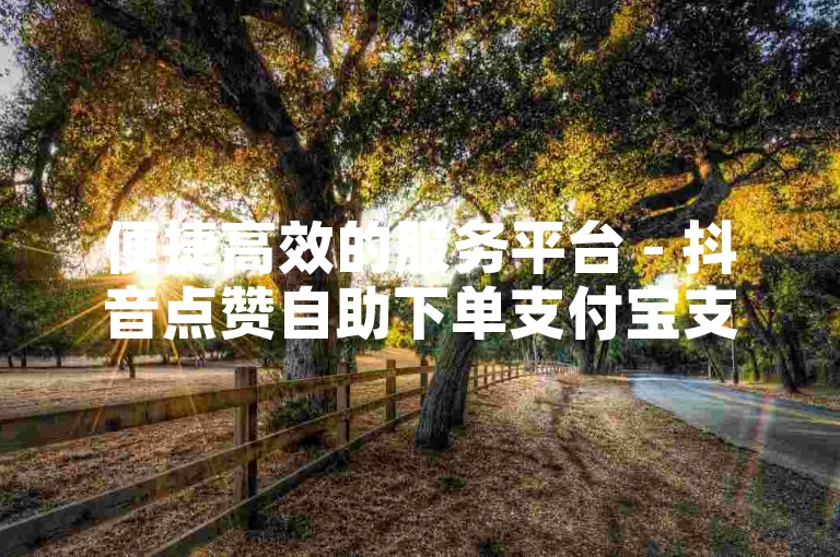 便捷高效的服务平台 - 抖音点赞自助下单支付宝支付