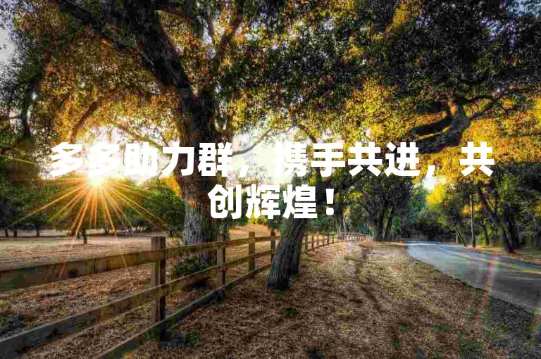 多多助力群，携手共进，共创辉煌！