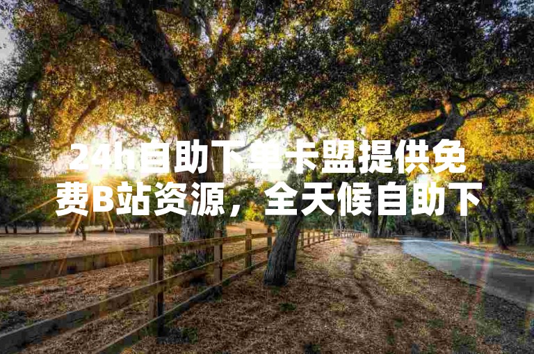 24h自助下单卡盟提供免费B站资源，全天候自助下单直播间操作指南。