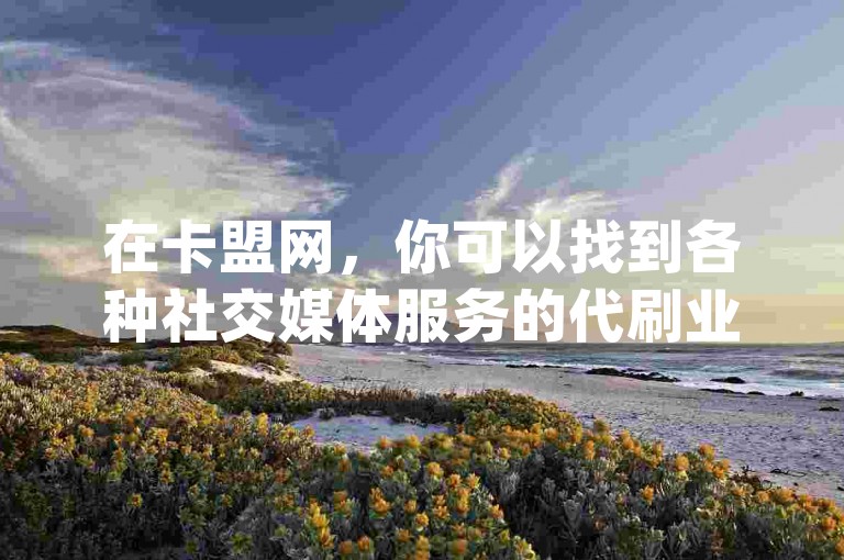 在卡盟网，你可以找到各种社交媒体服务的代刷业务，包括为dy平台增加点赞数。
