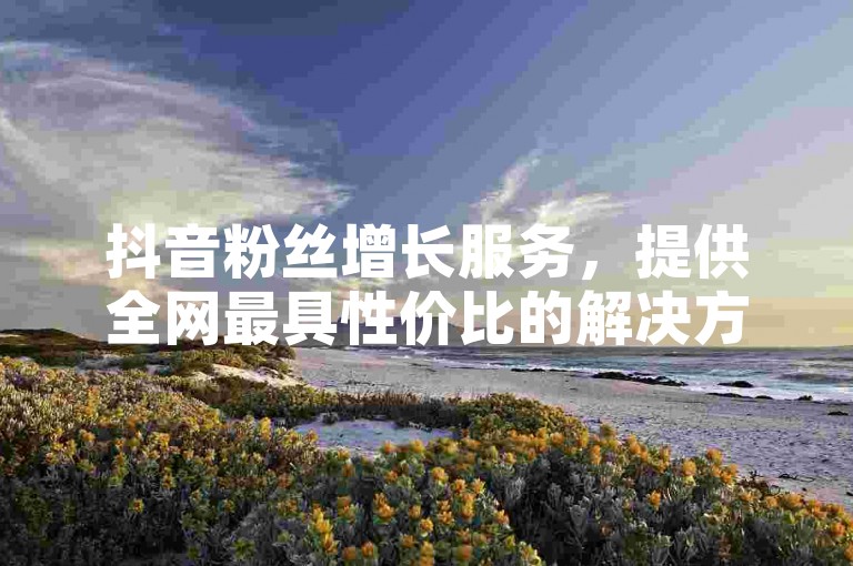 抖音粉丝增长服务，提供全网最具性价比的解决方案。
