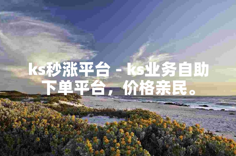 ks秒涨平台 - ks业务自助下单平台，价格亲民。