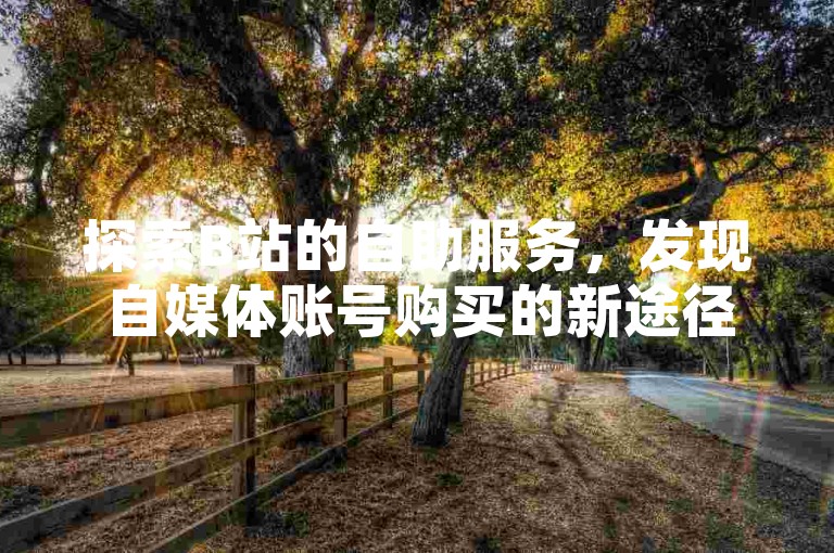 探索B站的自助服务，发现自媒体账号购买的新途径，同时了解如何设置网易邮箱自动转发，以及找到充值抖币的官网入口。