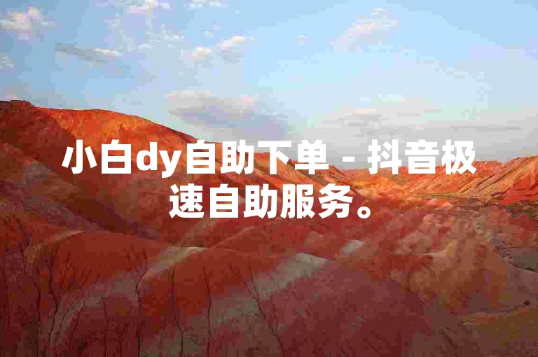 小白dy自助下单 - 抖音极速自助服务。