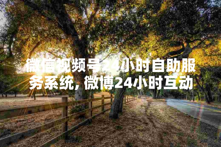 微信视频号24小时自助服务系统, 微博24小时互动平台 - wb业务下单全天候优惠 - 快手真人评论24小时即时响应。