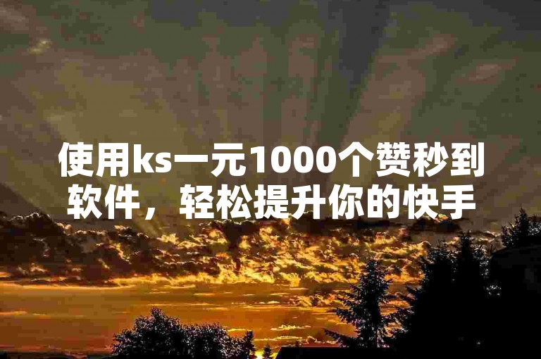 使用ks一元1000个赞秒到软件，轻松提升你的快手视频热度。