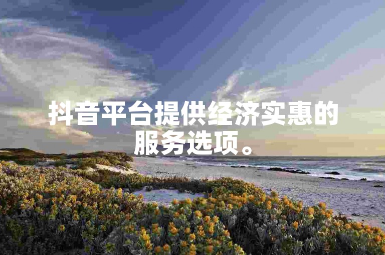 抖音平台提供经济实惠的服务选项。