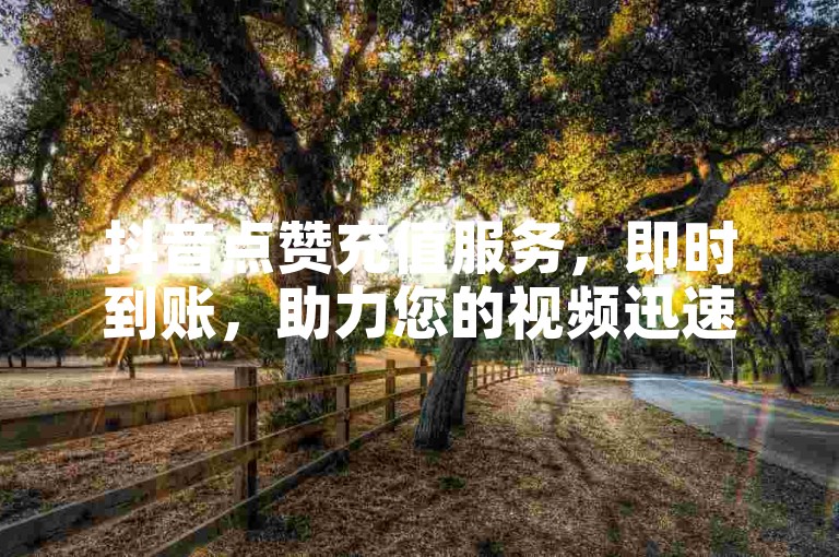 抖音点赞充值服务，即时到账，助力您的视频迅速获得关注。